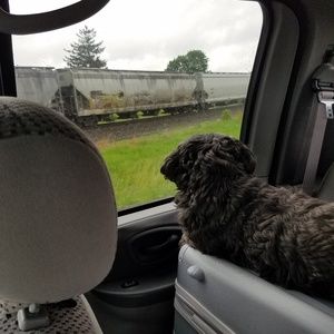 Meet your Posher, Robert